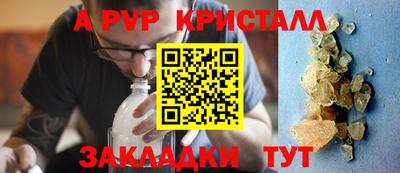 дмт Кингисепп