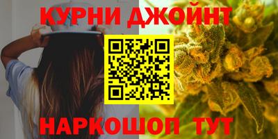 дмт Кингисепп