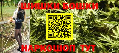 дмт Кингисепп